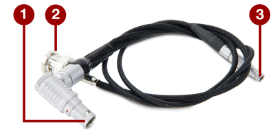 RED Start/Stop Cable (1B to Sync, Ctrl, BNC)